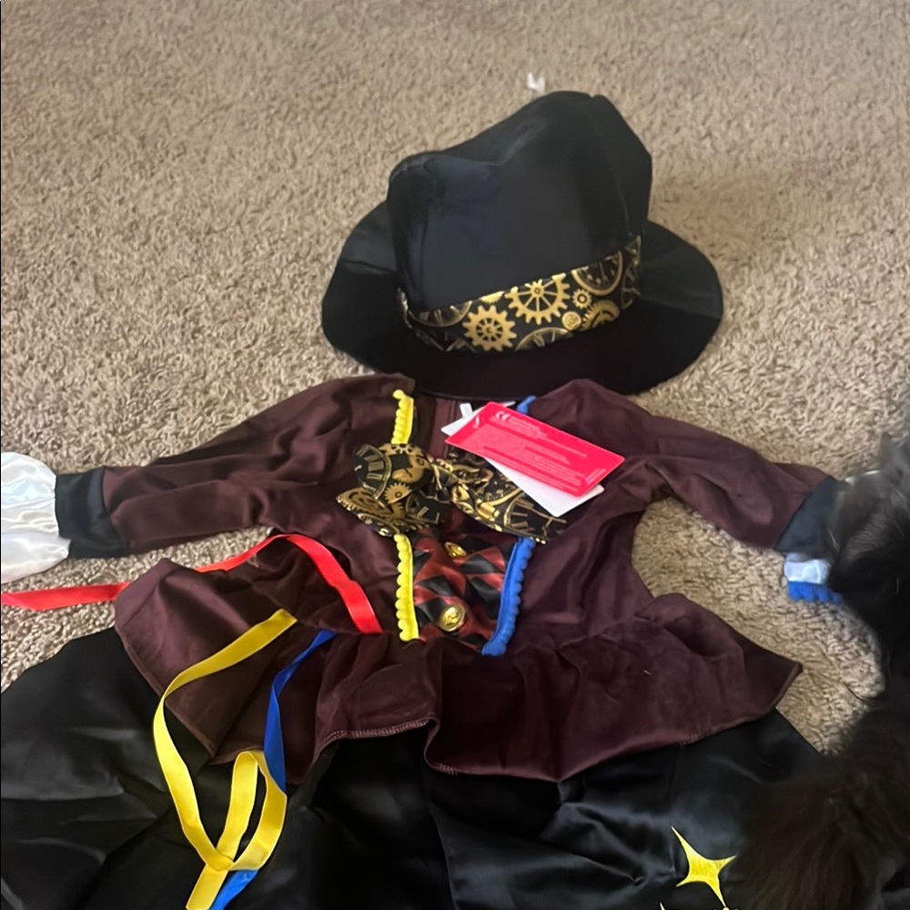 Mad Hatter two piece size 3 toddler costume